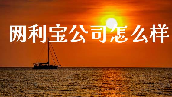 网利宝公司怎么样_https://www.kuaijiepai.net_期货理财_第1张