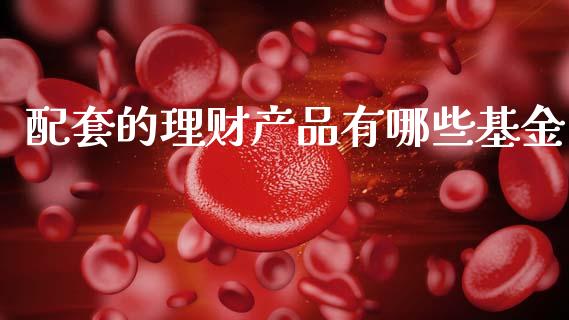 配套的理财产品有哪些基金_https://www.kuaijiepai.net_投资理财_第1张