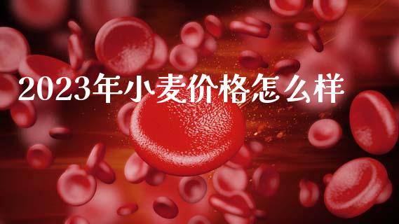 2023年小麦价格怎么样_https://www.kuaijiepai.net_国际期货_第1张