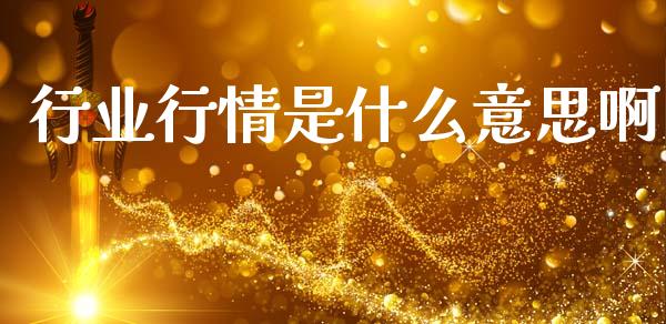 行业行情是什么意思啊_https://www.kuaijiepai.net_期货资讯_第1张