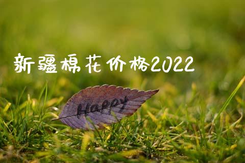 新疆棉花价格2022_https://www.kuaijiepai.net_期货资讯_第1张