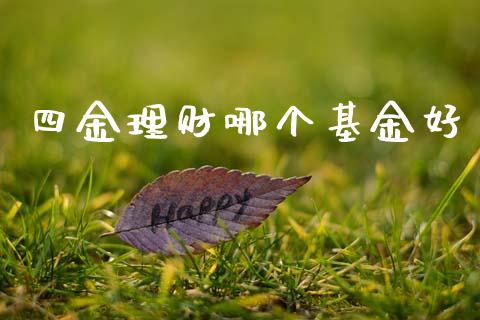 四金理财哪个基金好_https://www.kuaijiepai.net_期货理财_第1张