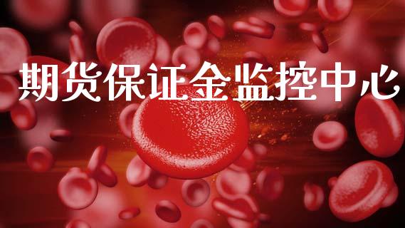 期货保证金监控中心_https://www.kuaijiepai.net_期货在线_第1张