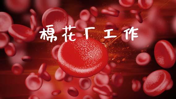 棉花厂工作_https://www.kuaijiepai.net_期货资讯_第1张