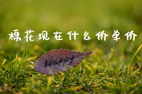 棉花现在什么价单价_https://www.kuaijiepai.net_国际期货_第1张