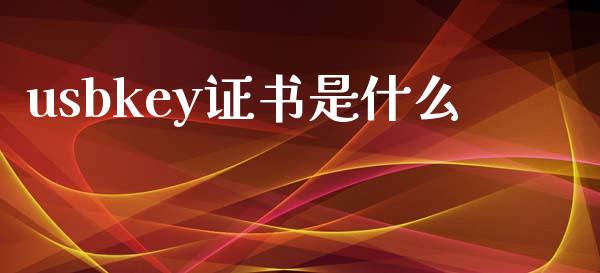 usbkey证书是什么_https://www.kuaijiepai.net_期货资讯_第1张
