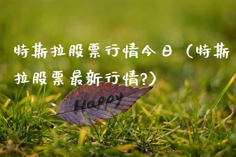 特斯拉股票行情今日（特斯拉股票最新行情?）_https://www.kuaijiepai.net_股票理论_第1张