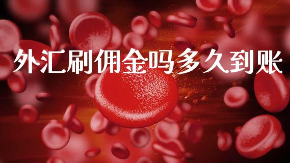 外汇刷佣金吗多久到账_https://www.kuaijiepai.net_新股新闻_第1张