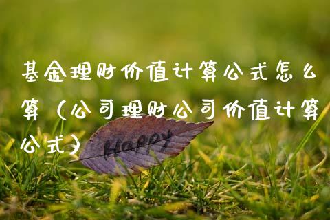 基金理财价值计算公式怎么算（公司理财公司价值计算公式）_https://www.kuaijiepai.net_期货理财_第1张