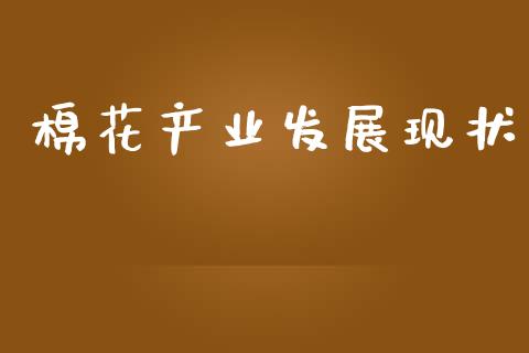 棉花产业发展现状_https://www.kuaijiepai.net_期货资讯_第1张