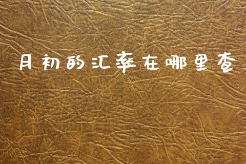 月初的汇率在哪里查_https://www.kuaijiepai.net_国际期货_第1张