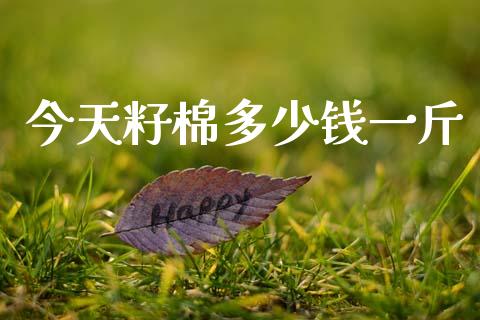 今天籽棉多少钱一斤_https://www.kuaijiepai.net_期货资讯_第1张