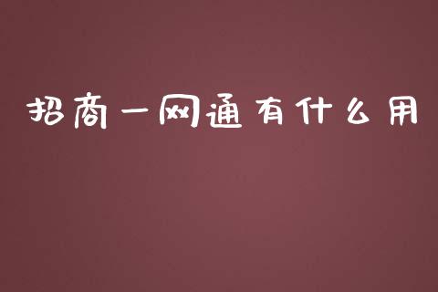 招商一网通有什么用_https://www.kuaijiepai.net_期货资讯_第1张