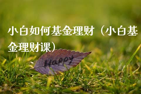 小白如何基金理财（小白基金理财课）_https://www.kuaijiepai.net_期货理财_第1张