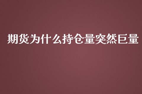 期货为什么持仓量突然巨量_https://www.kuaijiepai.net_新股新闻_第1张