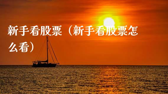 新手看股票（新手看股票怎么看）_https://www.kuaijiepai.net_新股新闻_第1张