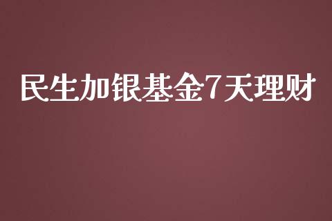 民生加银基金7天理财_https://www.kuaijiepai.net_期货理财_第1张
