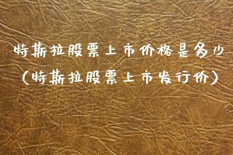 特斯拉股票上市价格是多少（特斯拉股票上市发行价）_https://www.kuaijiepai.net_股票理论_第1张