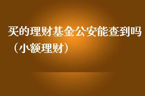 买的理财基金公安能查到吗（小额理财）_https://www.kuaijiepai.net_投资理财_第1张
