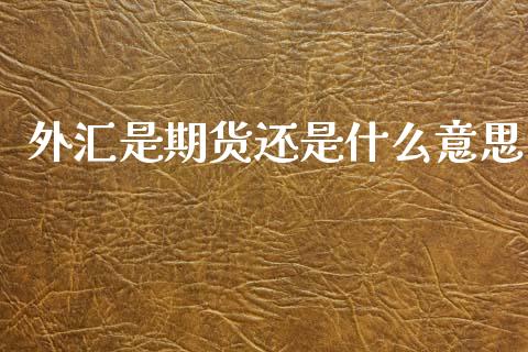 外汇是期货还是什么意思_https://www.kuaijiepai.net_股票理论_第1张
