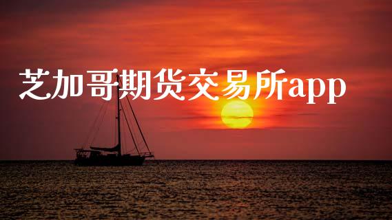 芝加哥期货交易所app_https://www.kuaijiepai.net_期货资讯_第1张