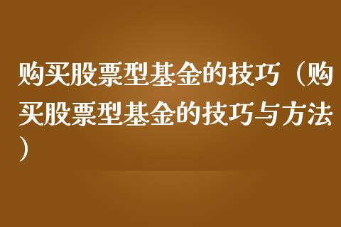 购买股票型基金的技巧（购买股票型基金的技巧与方法）_https://www.kuaijiepai.net_新股新闻_第1张
