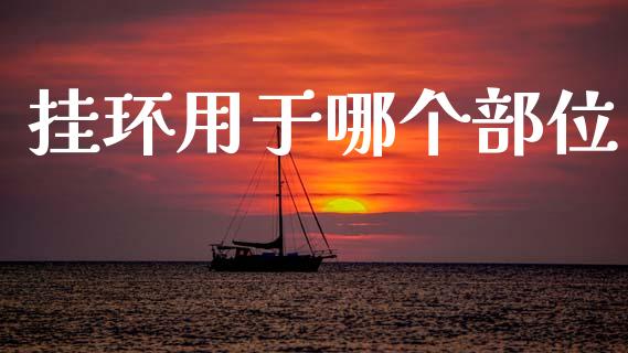 挂环用于哪个部位_https://www.kuaijiepai.net_投资理财_第1张