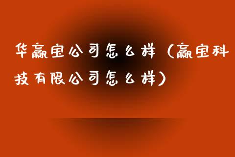 华赢宝公司怎么样（赢宝科技有限公司怎么样）_https://www.kuaijiepai.net_期货资讯_第1张