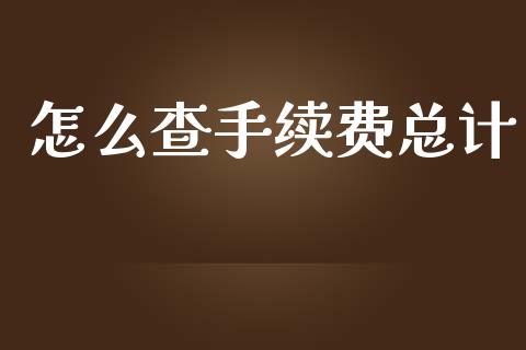 怎么查手续费总计_https://www.kuaijiepai.net_期货资讯_第1张