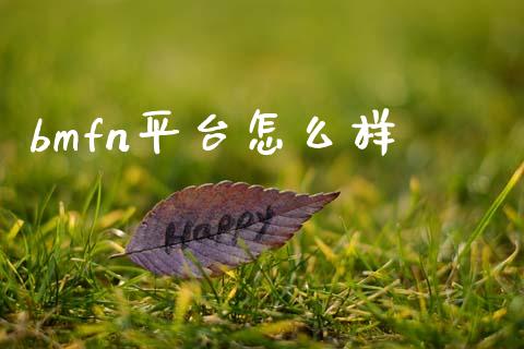 bmfn平台怎么样_https://www.kuaijiepai.net_期货理财_第1张