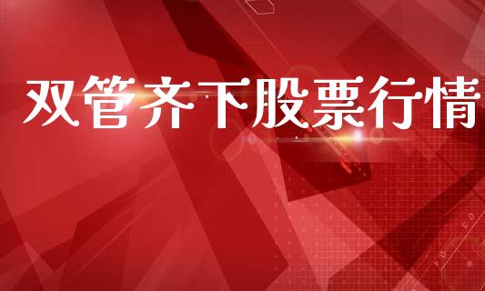 双管齐下股票行情_https://www.kuaijiepai.net_国际股建_第1张