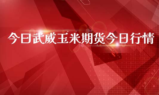 今曰武威玉米期货今日行情_https://www.kuaijiepai.net_期货资讯_第1张