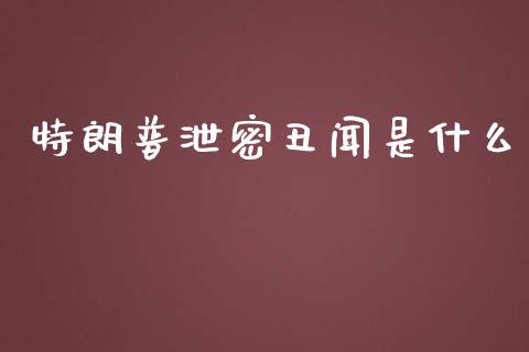 特朗普泄密丑闻是什么_https://www.kuaijiepai.net_国际股建_第1张