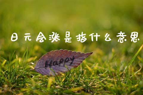 日元会涨是指什么意思_https://www.kuaijiepai.net_国际期货_第1张