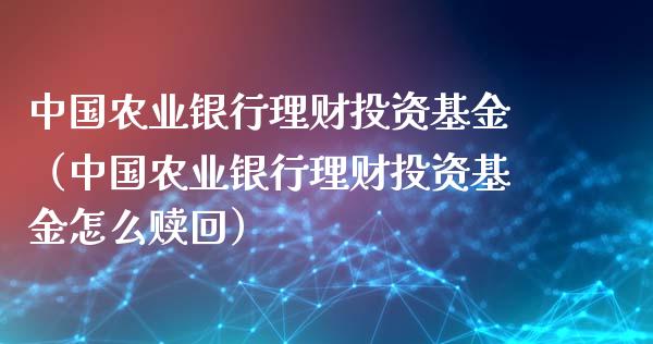 中国农业银行理财投资基金（中国农业银行理财投资基金怎么赎回）_https://www.kuaijiepai.net_投资理财_第1张