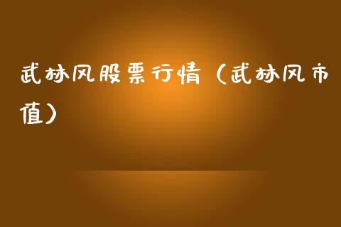 武林风股票行情（武林风市值）_https://www.kuaijiepai.net_股票理论_第1张
