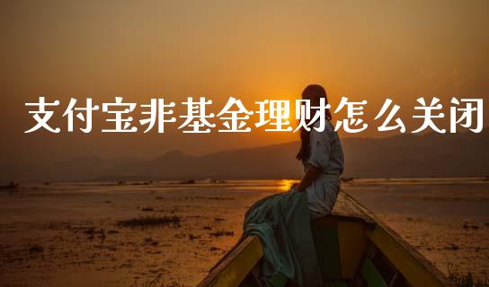 支付宝非基金理财怎么关闭_https://www.kuaijiepai.net_投资理财_第1张