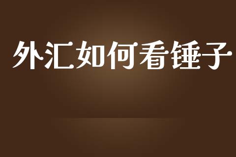 外汇如何看锤子_https://www.kuaijiepai.net_国际股建_第1张