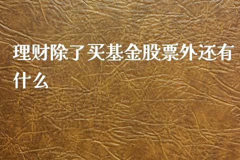 理财除了买基金股票外还有什么_https://www.kuaijiepai.net_期货理财_第1张