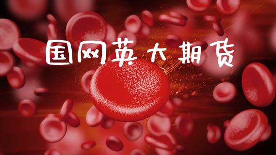国网英大期货_https://www.kuaijiepai.net_投资理财_第1张