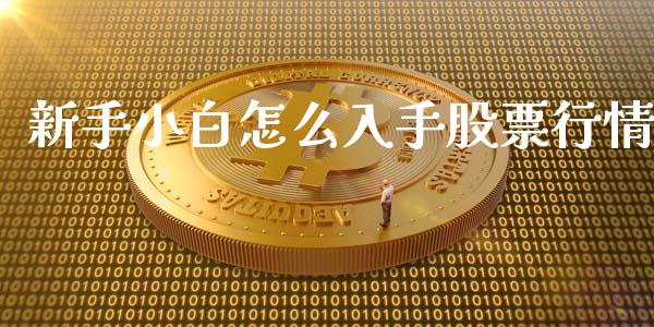 新手小白怎么入手股票行情_https://www.kuaijiepai.net_国际股建_第1张