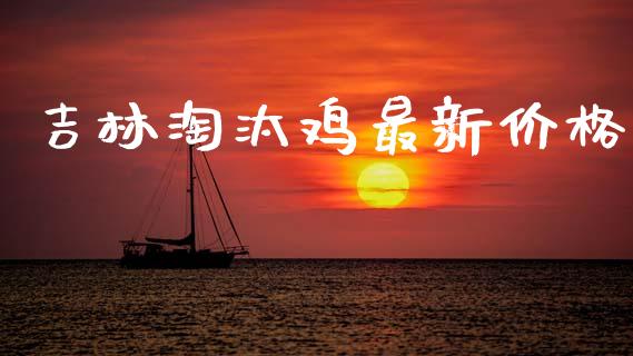 吉林淘汰鸡最新价格_https://www.kuaijiepai.net_国际期货_第1张