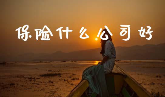 保险什么公司好_国际股建_第1张_快捷排财经网 保险什么公司好_https://www.kuaijiepai.net_国际股建_第1张