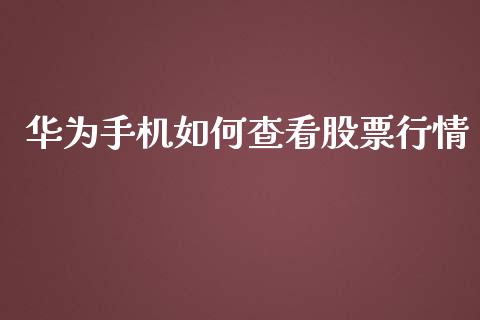 华为手机如何查看股票行情_https://www.kuaijiepai.net_新股新闻_第1张