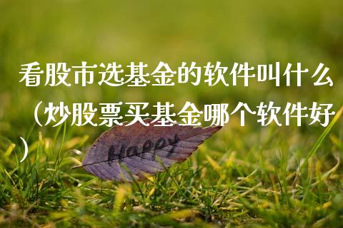 看股市选基金的软件叫什么（炒股票买基金哪个软件好）_https://www.kuaijiepai.net_期货理财_第1张
