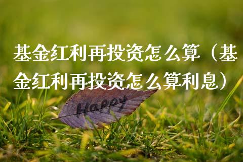 基金红利再投资怎么算（基金红利再投资怎么算利息）_https://www.kuaijiepai.net_期货理财_第1张