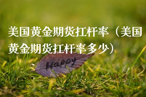 美国黄金期货扛杆率（美国黄金期货扛杆率多少）_https://www.kuaijiepai.net_国际期货_第1张