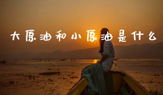 大原油和小原油是什么_https://www.kuaijiepai.net_国际股建_第1张