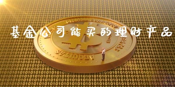 基金公司能买的理财产品_https://www.kuaijiepai.net_投资理财_第1张