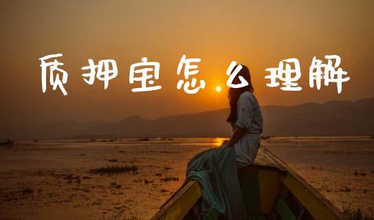 质押宝怎么理解_https://www.kuaijiepai.net_国际股建_第1张